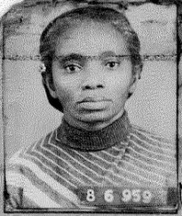 D.Joana Brandão de Aguiar