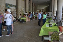 Projetos apresentados nos pilotis do Edifício Cardeal Leme. Fotógrafo Antônio Albuquerque. Acervo do Núcleo de Memória.