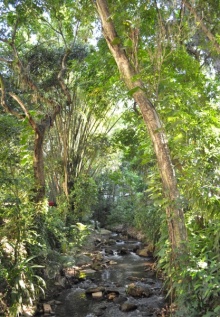 Rio Rainha. Fotógrafo Antônio Albuquerque. Acervo do Núcleo de Memória.