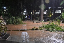 Já nos primeiros momentos, os funcionários se mobilizaram para reduzir os danos provocados pelas chuvas. Fotógrafo Antônio Albuquerque.