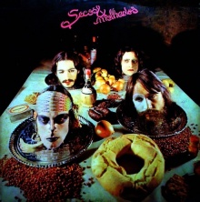 Capa do disco dos Secos & Molhados.