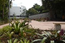 Jardim dos Continentes. Fotógrafo Antônio Albuquerque.