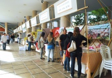 Estandes nos pilotis do Edifício da Amizade. Fotógrafa Camille Valbusa. Acervo do Projeto Comunicar.